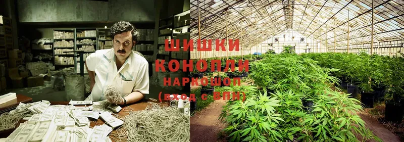 Каннабис THC 21%  где можно купить   Каменск-Шахтинский 